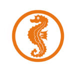 Schwimmschule Nemo Schwimmabzeichen Seepferdchen